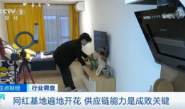 服装直播91万营业额,91万营业额，服装直播引领潮流