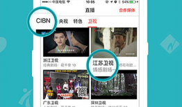 91电视直播app电视版下载,畅享海量直播，一键下载体验